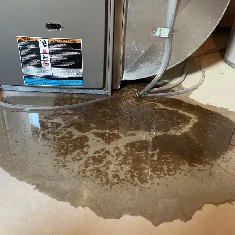 Appliance Leak Cleanup in Miller County, GA